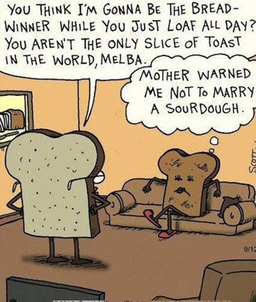 Food Humor #98: You think I'm gonna be the bread winner while you just loaf all day? You aren't the only slice of toast in the world, Melba. Mother warned me not to marry a sourdough. - bread