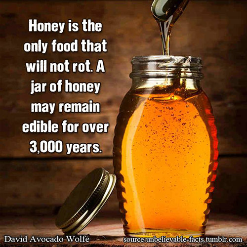 Nutrition Matters #15: Honey is the only food that will not rot. A jar of honey may remain edible for over 3,000 years. - fb,nutrition