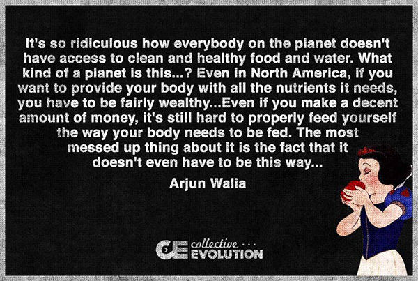 Nutrition Matters #17: It's so ridiculous how everybody on the planet doesn't have access to clean and healthy food and water. What kind of planet is this? Even in North America, if you want to provide your body with all the nutrients it needs, you have to be fairly wealthy. Even if you make a decent amount of money, it's still hard to properly feed yourself the way your body needs to be fed. The most messed up thing about it is the fact that it doesn't even have to be this way. - Arjun Walia - fb,nutrition
