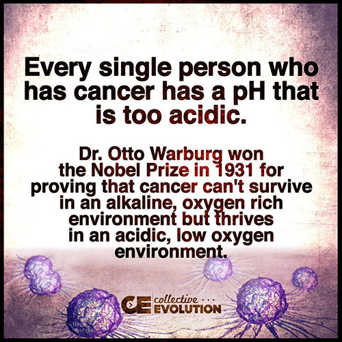 Nutrition Matters #19: Every single person who has cancer has a pH that is too acidic. Dr Otto Warburg won the Nobel Prize in 1931 for proving that cancer can't survive in an alkaline, oxygen rich environment but thrives in an acidic, low oxygen environment.