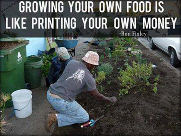 Nutrition Matters #29: Growing your own food is like printing your own money. - fb,nutrition