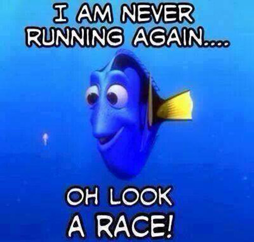 Running Humor #22: I am never running again. Oh, look, a race! - fb,running-humor