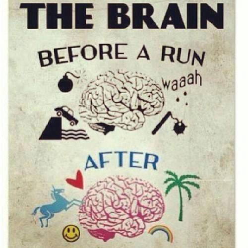 Running Humor #38: The brain before and after a run.