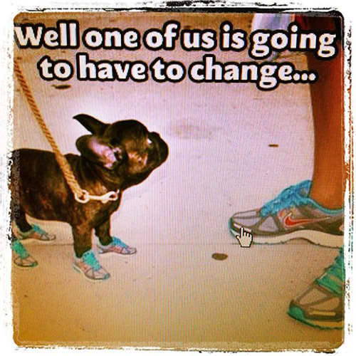 Running Humor #40: Well, one of us is going to have to change. - fb,running-humor
