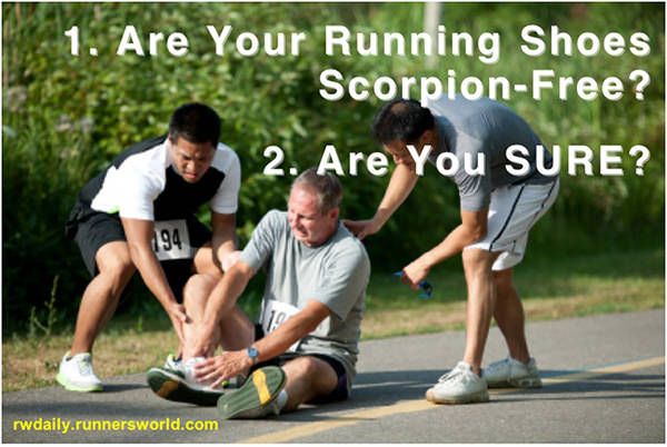 Running Humor #51: Are your running shoes scorpion-free?