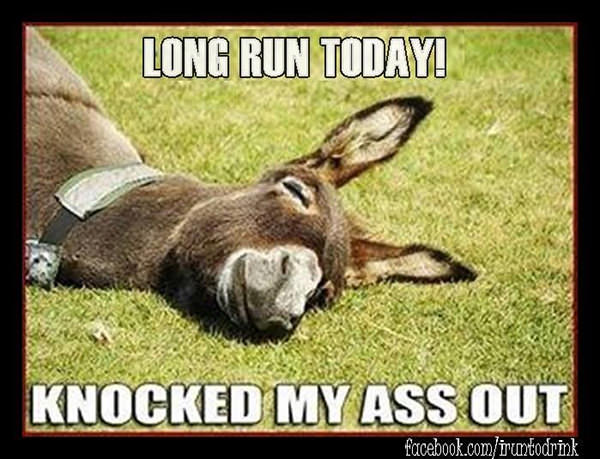 Running Humor #63: Lon run today! Knocked my ass out.