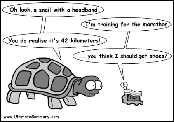 Running Humor #136: Tortoise and Snail Running Cartoon