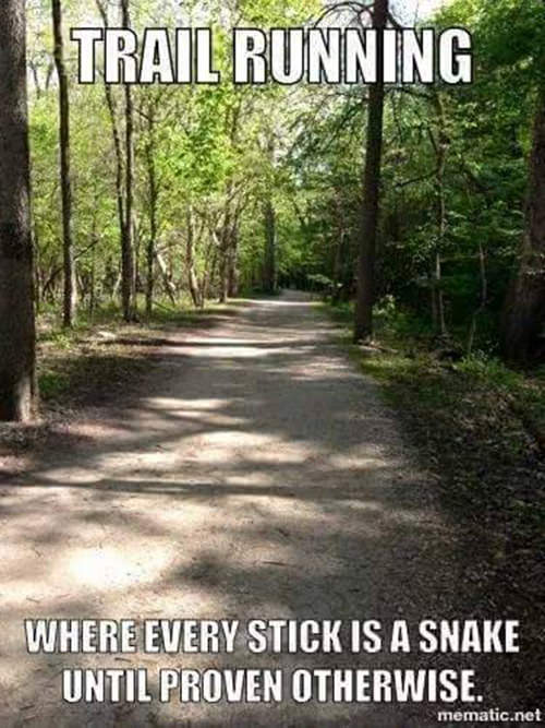 Running Humor #158: Trail running. Where every stick is a snake until proven otherwise.