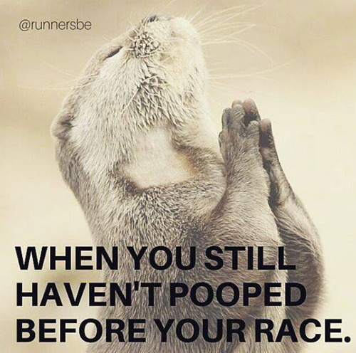 Running Humor #184: When you still haven't pooped before your race.