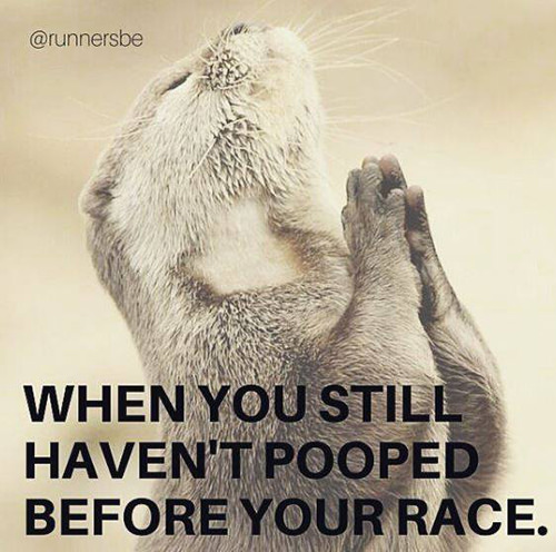 Running Humor #184: When you still haven't pooped before your race.