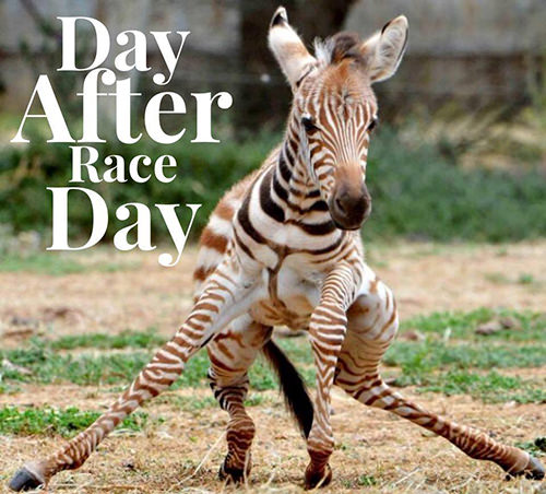 Running Humor #205: Day after race day.