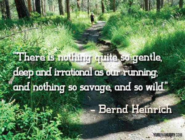 Running Matters #1: There is nothing quite so gentle, deep and irrational as our running and nothing so savage and so wild. - Bernd Heinrich
