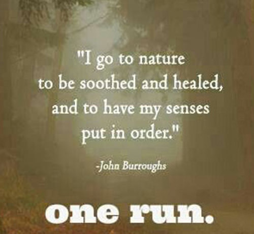 Running Matters #148: I go to nature to be soothed and healed, and to have my senses put in order. - John Burroughs