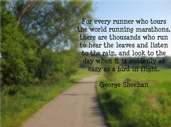 Running Matters #178: For every runner who tours the world running marathons there are thousands who run to hear the leaves and listen to the rain, and look to the day when it is suddenly as easy as a bird in flight.