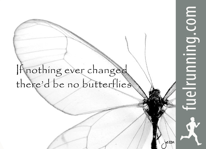 Fitness Stuff #73: If nothing ever changed, there'd be no butterflies.